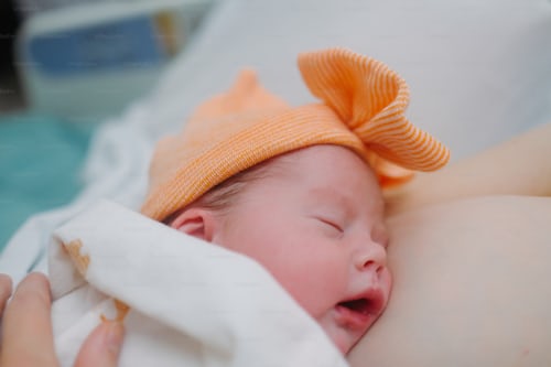 premium_photo-1676400362113-146a1660d7dc.jpeg